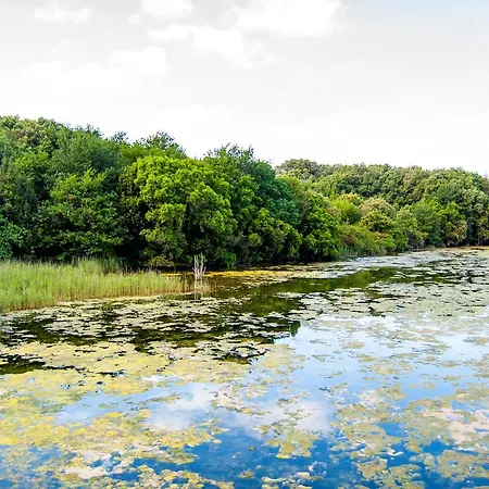 Playa De Arnadal * Isla Plana