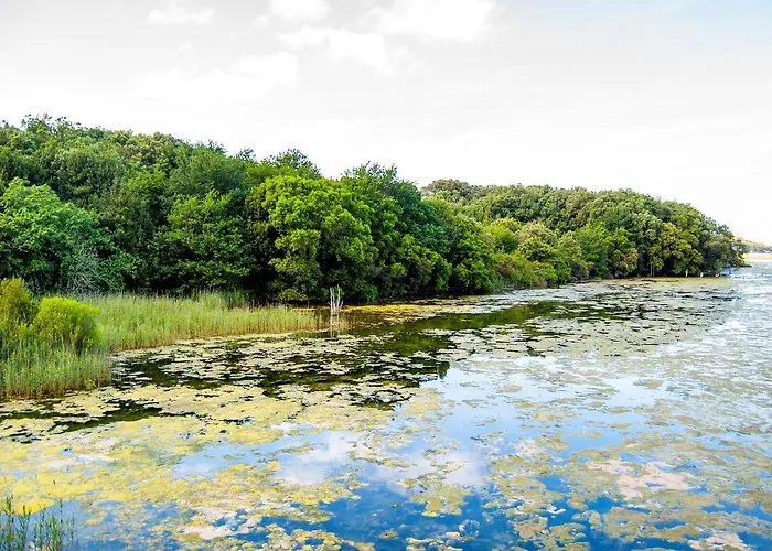 Playa De Arnadal * Isla Plana